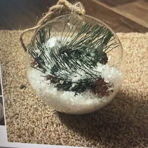 Lit Cloche Ornament by Pottery Barn